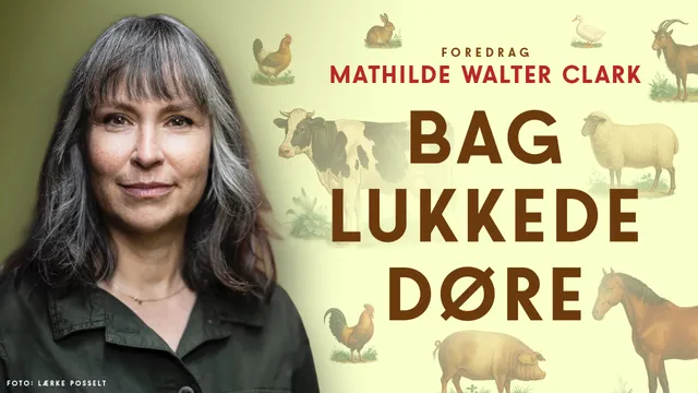BAG LUKKEDE DØRE