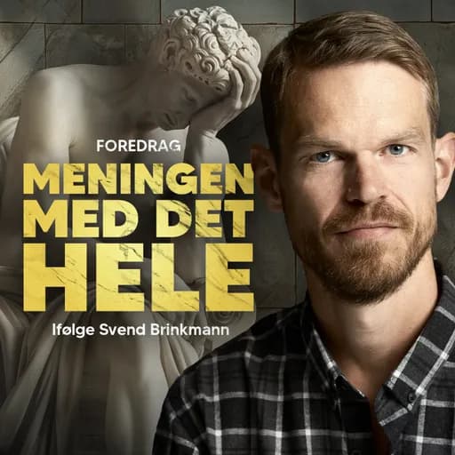 Meningen med det hele